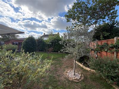 Picture 20
